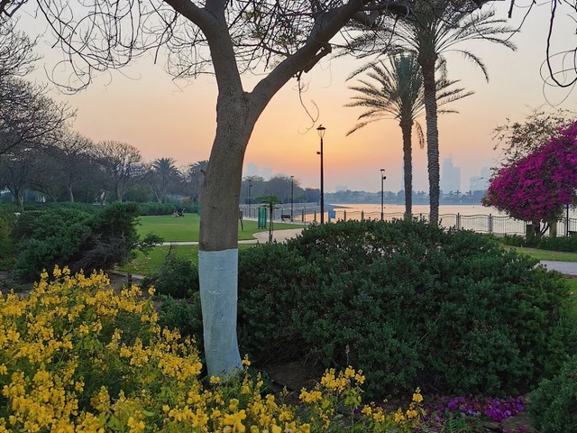 حديقة بحيرة البرشاء دبي